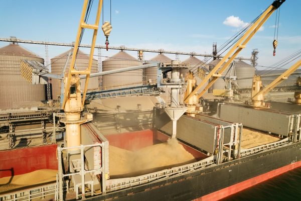 Agriculture Grain Shipment